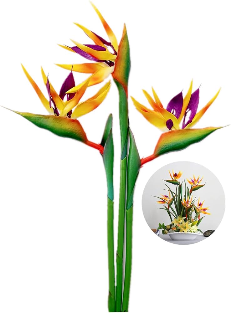 Amazon.co.jp: パラダイスの鳥 大型 32インチ 恒久的な花 UV耐性